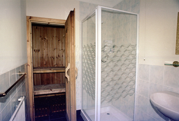 main bedroom sauna